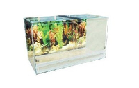 Природа терраріум горизонтальний 60х35х40 см