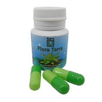 Капсулы для удобрения растений в аквариуме Ptero Флора Terra 10 шт на 100 л