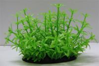 Растение для аквариума без грунта Lang №024082