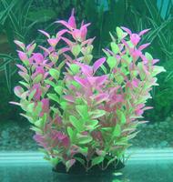 Пластиковое аквариумное растение Lang №094255