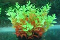 Растение для аквариума искусственное Lang №097201