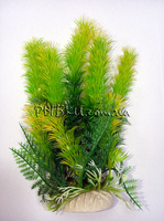 Растение для аквариума без грунта Lang №102172