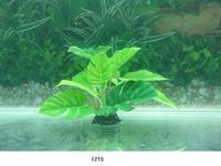 Искусственное растение для аквариума Lang №1215