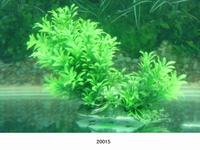 Растение для аквариума искусственное Lang №20015