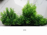 Растение для аквариума без грунта Lang №2113