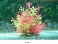 Растение для аквариума без грунта Lang №22156