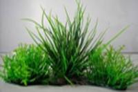 Искусственное растение для аквариума Lang №3119