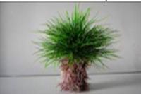 Растение для аквариума искусственное Lang №3135