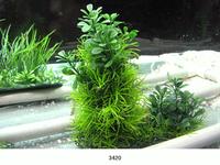 Искусственное растение для аквариума Lang №3420