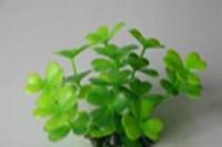 Растение для аквариума искусственное Lang №450062