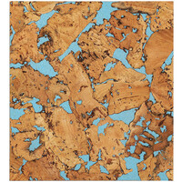 Фон для террариума Repti-Zoo Cork Wood Background 20x20 см из пробки