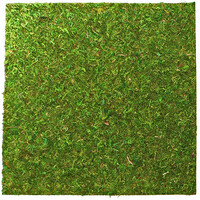Фон для террариума Repti-Zoo Natural Moss Back and Bottom 45x45 см 2 шт из натурального мха