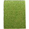 Repti-Zoo Natural Moss Back and Bottom 50x25 см 2 шт фон для террариума из натурального мх