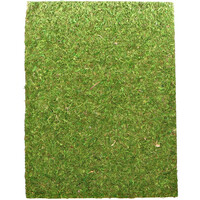 Фон для террариума Repti-Zoo Natural Moss Back and Bottom 50x25 см 2 шт из натурального мха
