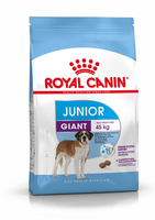 Royal Canin Giant Junior корм для крупных собак (от 44 кг) 8-18/24 месяцев, 15 кг