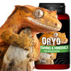 Terrario ORYO for Crested Gecko 150г витамины для геккона-бананоеда