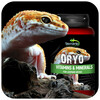 Terrario ORYO for Leopard Gecko 150 г витамины для леопардовых гекконов