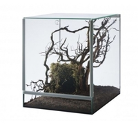 Террариум Diversa 20х15х25 см, 7,5 л