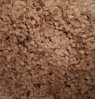 TetraPro Energy Multi-Crisps корм в чипсах для всех видов рыб, 52,5 г (пакет 0,25)