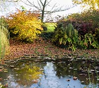 Как подготовить пруд к зиме