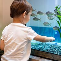 Аквариум для детей: образовательный и увлекательный мир под водой