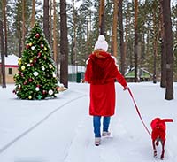 Забота о домашних животных во время праздничных гуляний: как обеспечить комфорт и безопасность