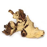 Натуральные коряги: идеальный декор для вашего аквариума