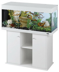 Як купити акваріум у Харкові