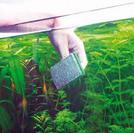 Як мити акваріум