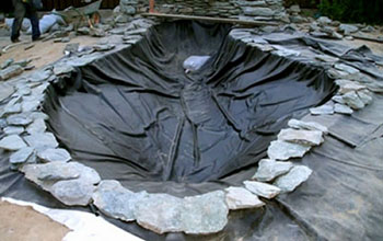 Облаштування ставка