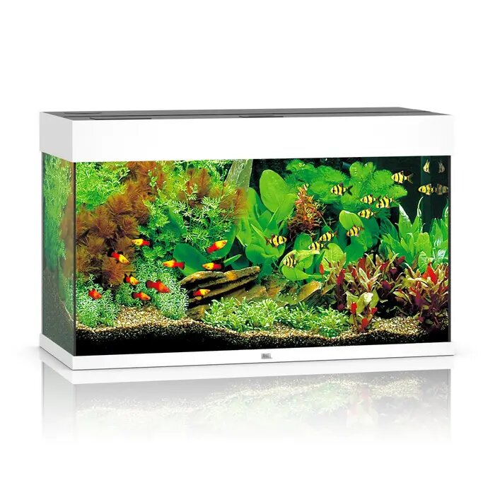  Обзор аквариума Juwel Rio 125
