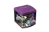 Какие бывают аквариумы — виды и формы