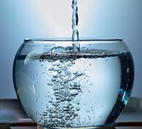 Можно ли использовать воду из под крана для аквариума?