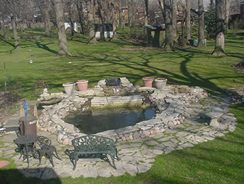 Виведення ставка з «Зимового сну»