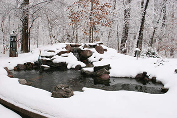 Підготовка ставка до зими