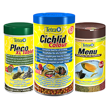 Не забувайте! Рибки розрізняють смаки!